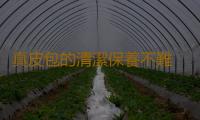 真皮包的清潔保養不難 真皮皮包的清潔及保養小竅
