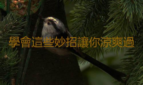 學會這些妙招讓你涼爽過一夏!